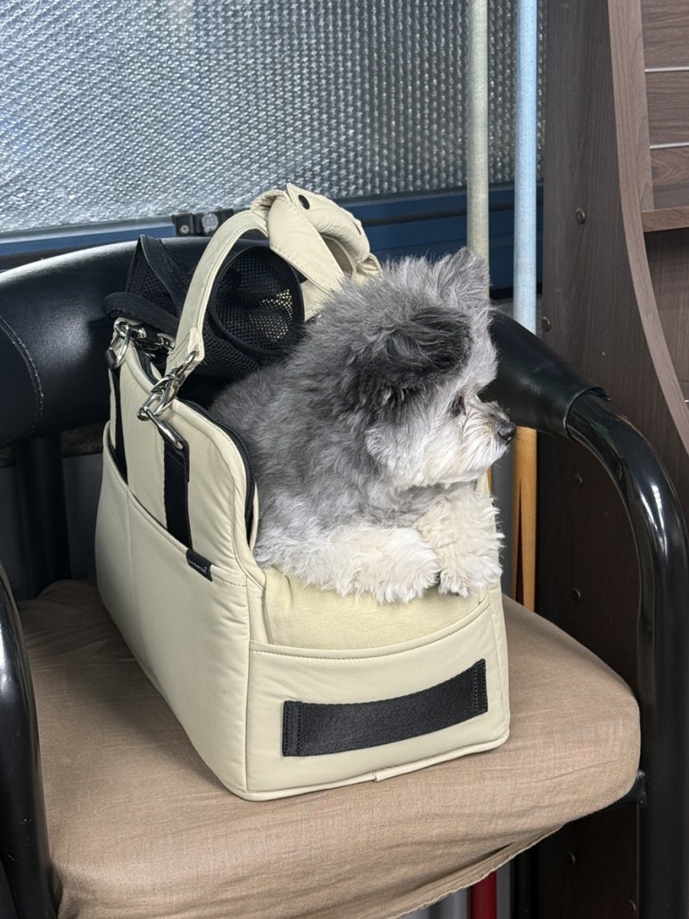 또와당구장 이미지