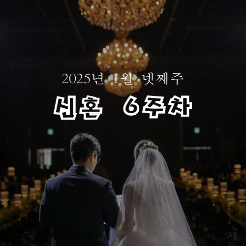 달성축산물센터 이미지