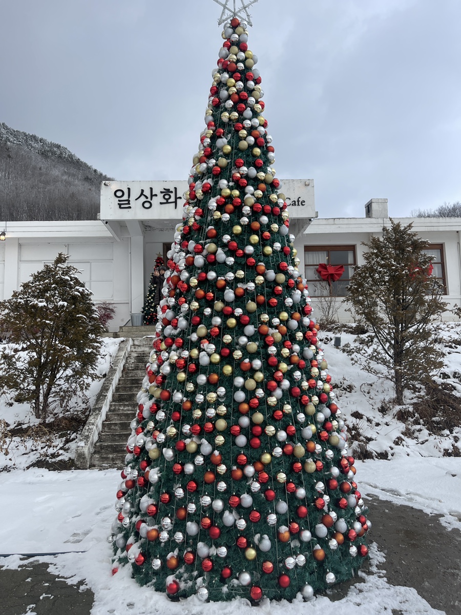 (주)메인트리 이미지