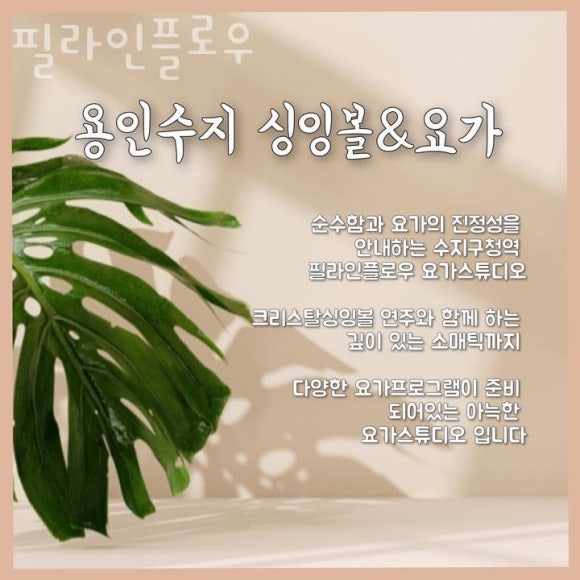 필라인 이미지
