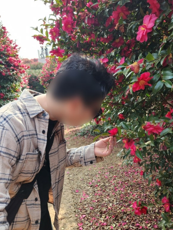 꽁떼네도르 이미지