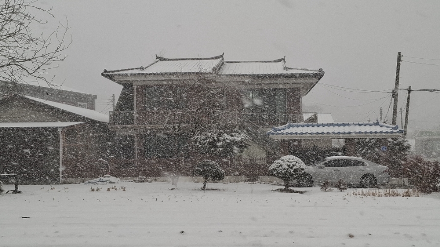 설마 이미지