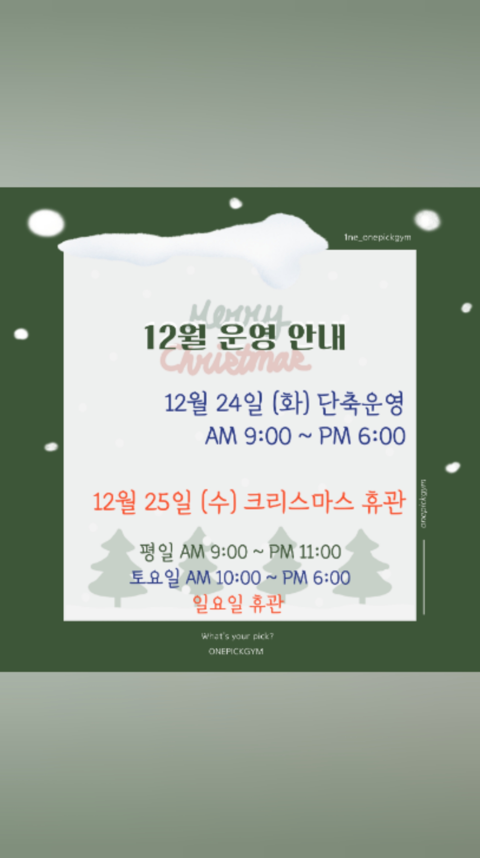 원픽짐 이미지