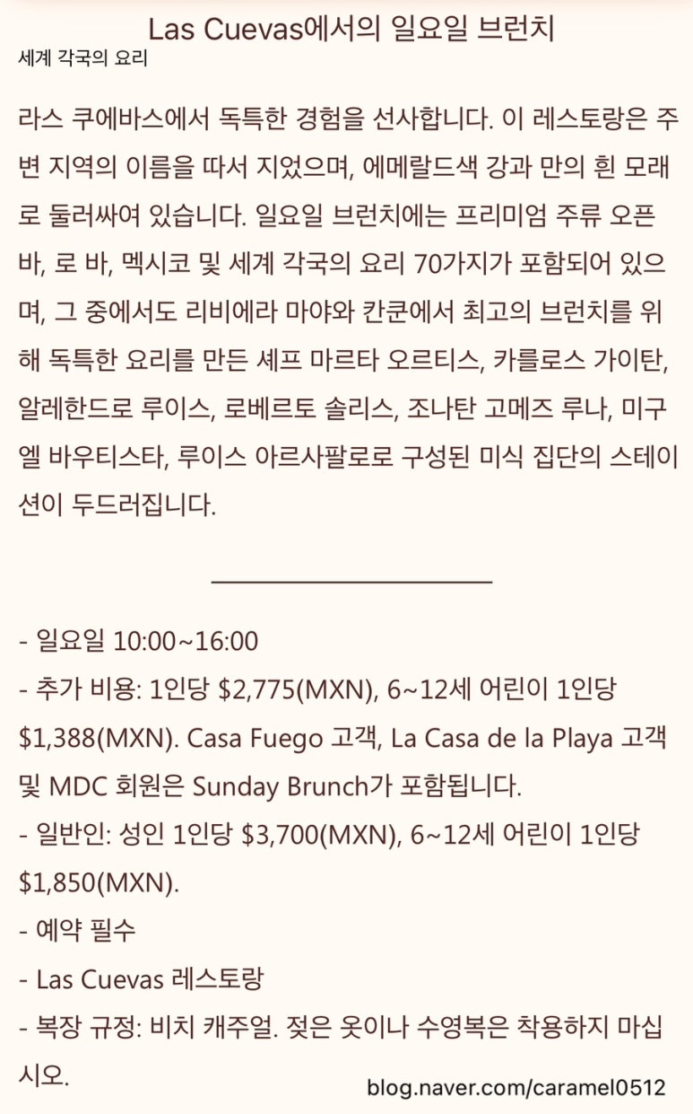 선데이브런치24 이미지