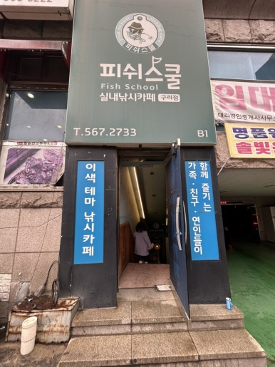 피쉬스쿨 이미지