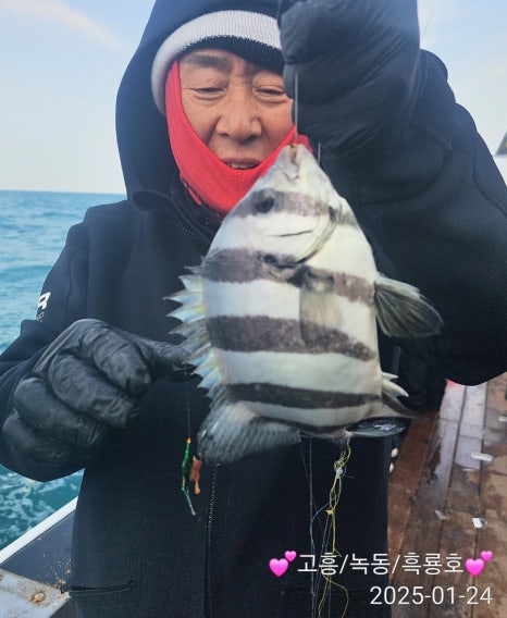 태공낚시 이미지