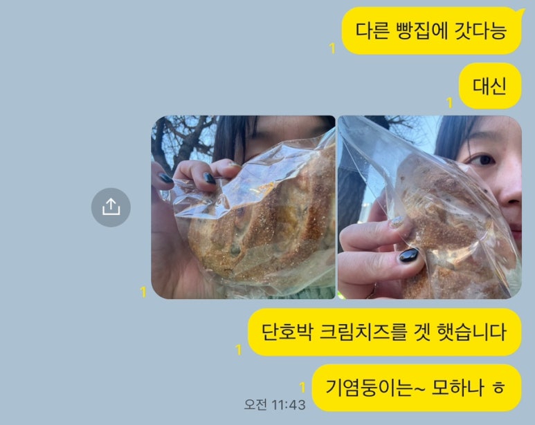 브라운아지트 이미지