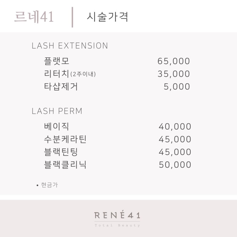 르네41 이미지