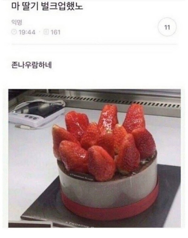 델리카한스 이미지