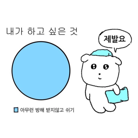 다이룬 이미지