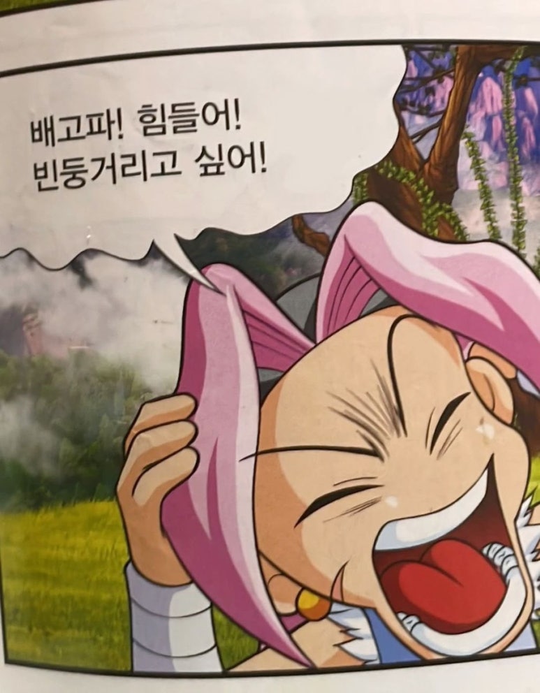 안투어 이미지