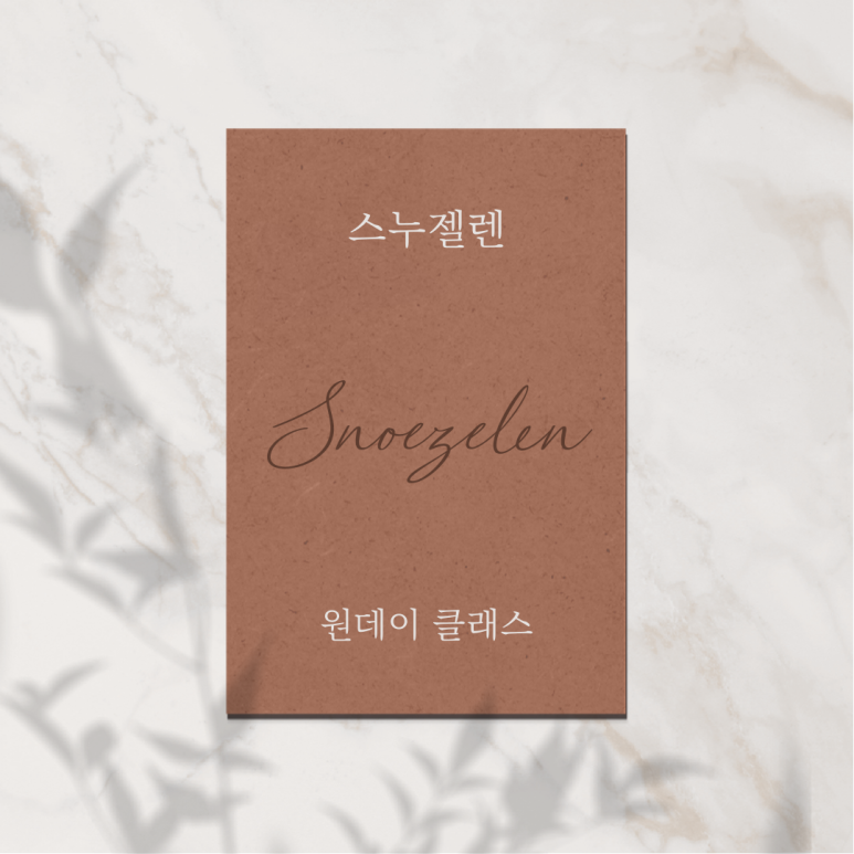 한국PnP전문가협회 이미지