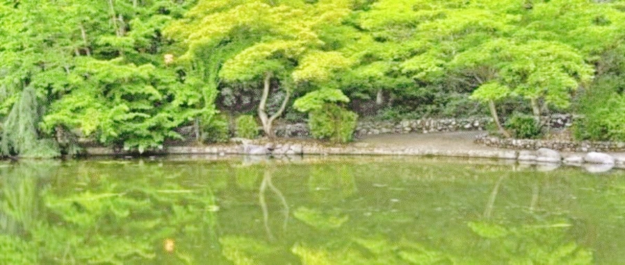 서울바른훈치과의원 이미지
