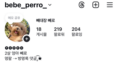 빼로(perro) 이미지