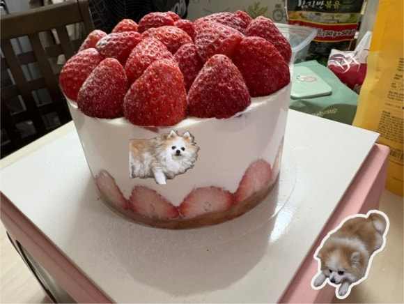딱지 제과 이미지