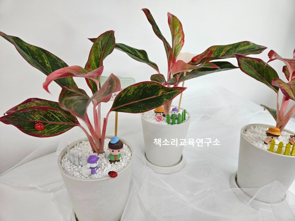책소리교육연구소 이미지