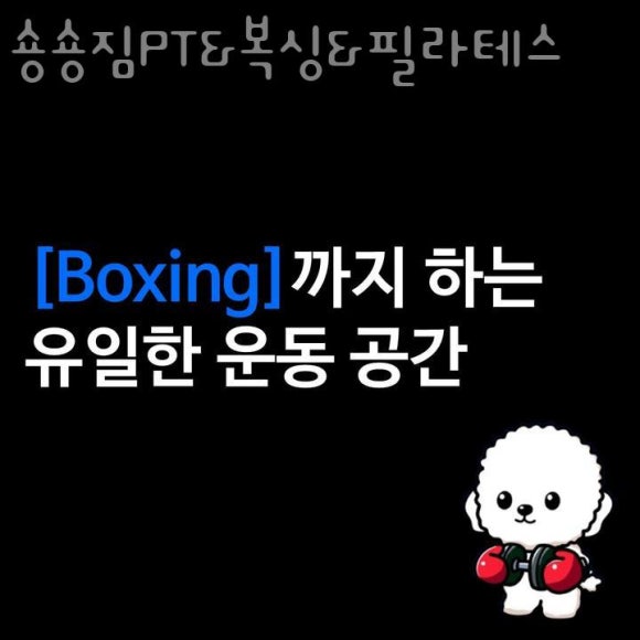 숑숑짐 이미지
