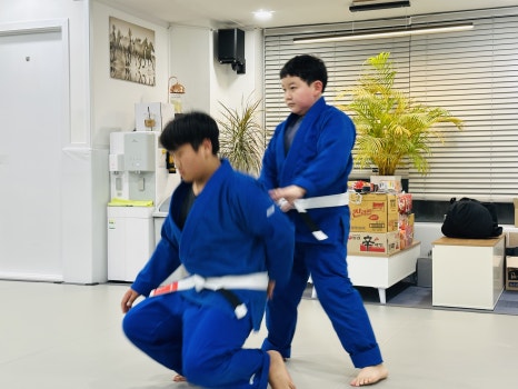 퍼팩트주짓수 이미지