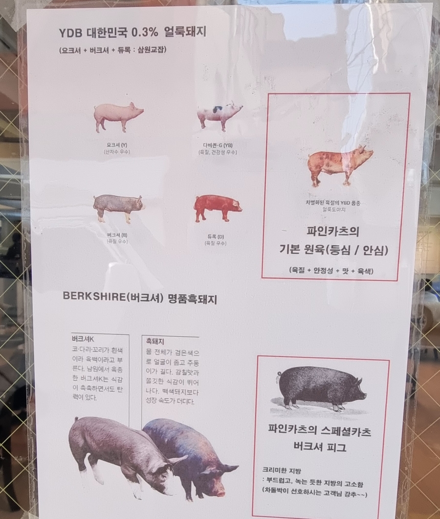 파인카츠 이미지
