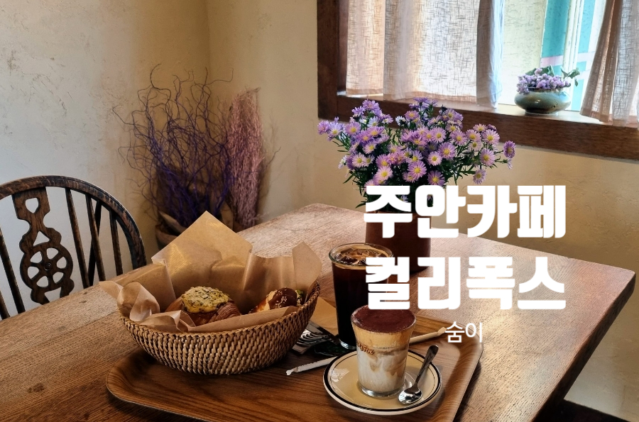 컬리폭스 이미지