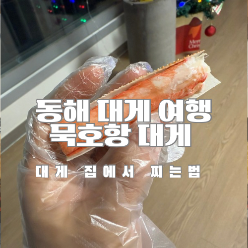 대게집 이미지
