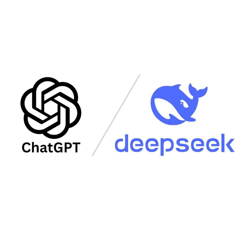 시크(Seek) 이미지