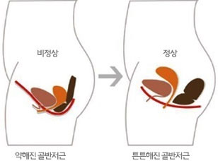 포시즌스요양병원 이미지