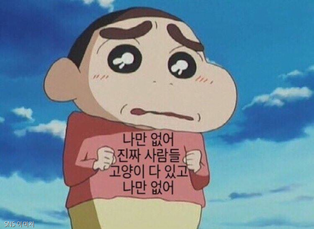 히히냥냥 이미지