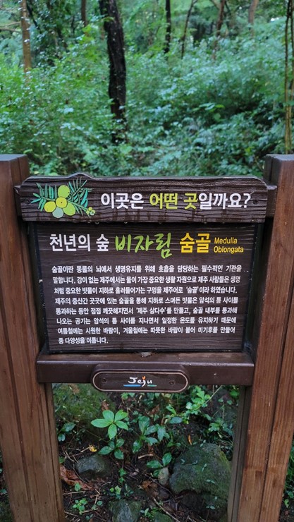 온정민박 이미지