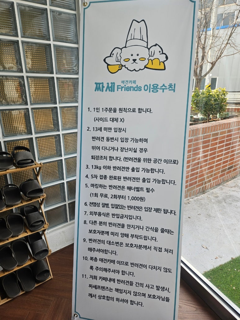 짜세프렌즈 이미지