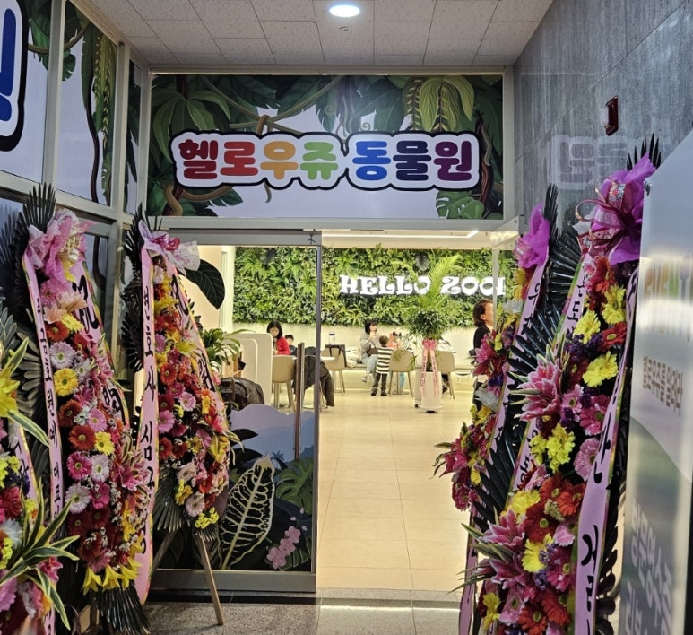 헬로우쥬 카페 이미지