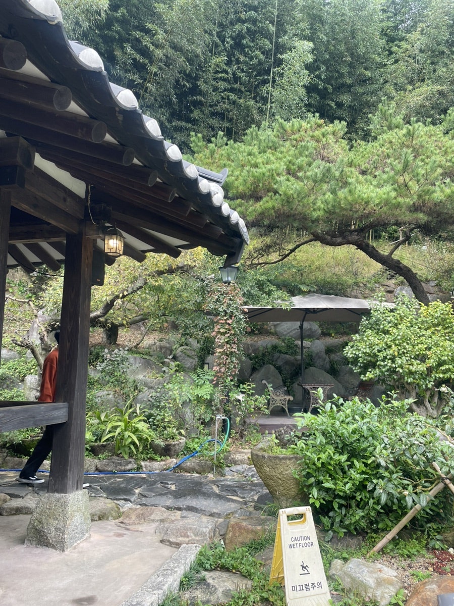 보성춘 이미지