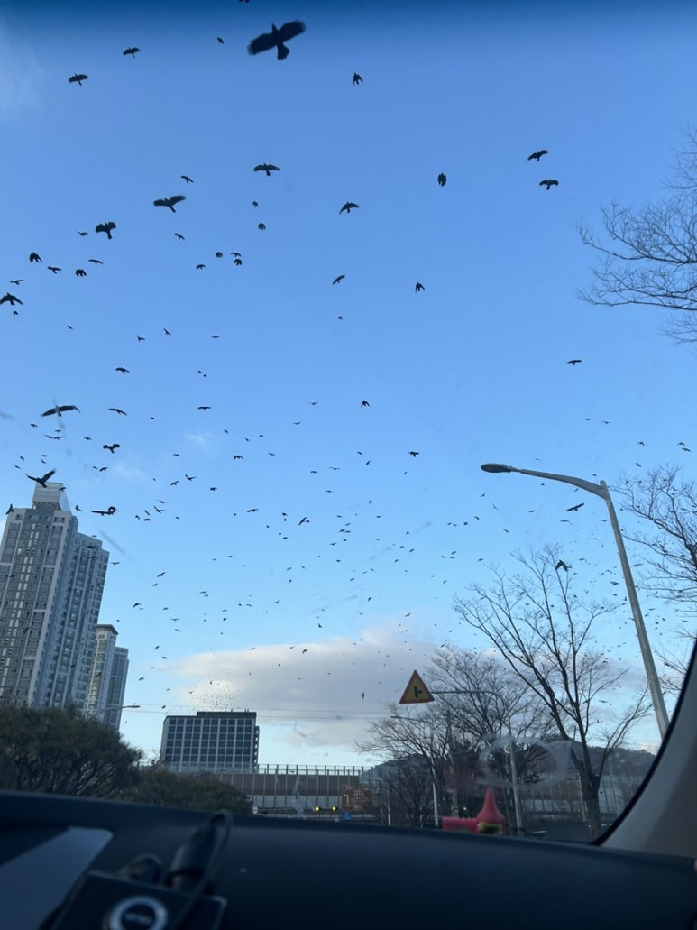 (유)가자투어 이미지