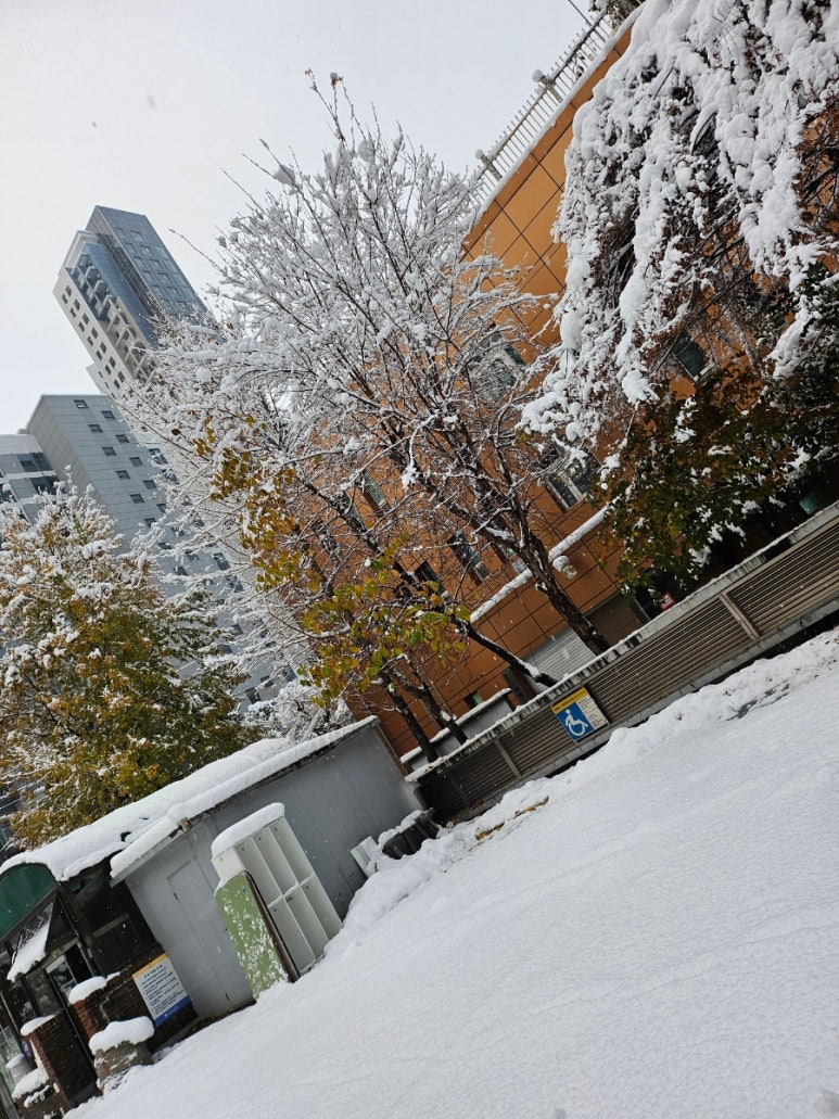 내고향장독대 이미지
