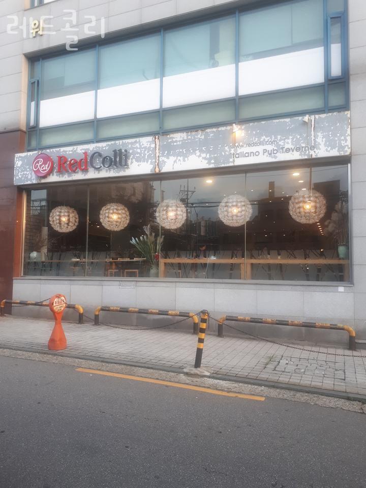 레드콜리 대표 사진