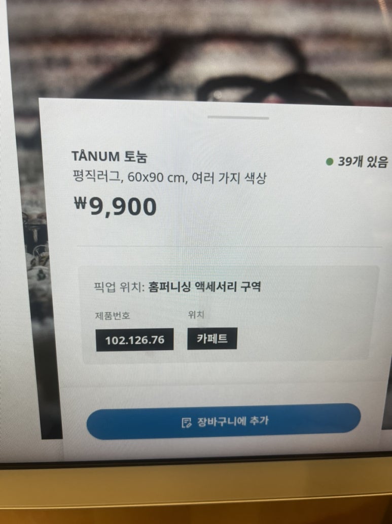 대도백양 이미지