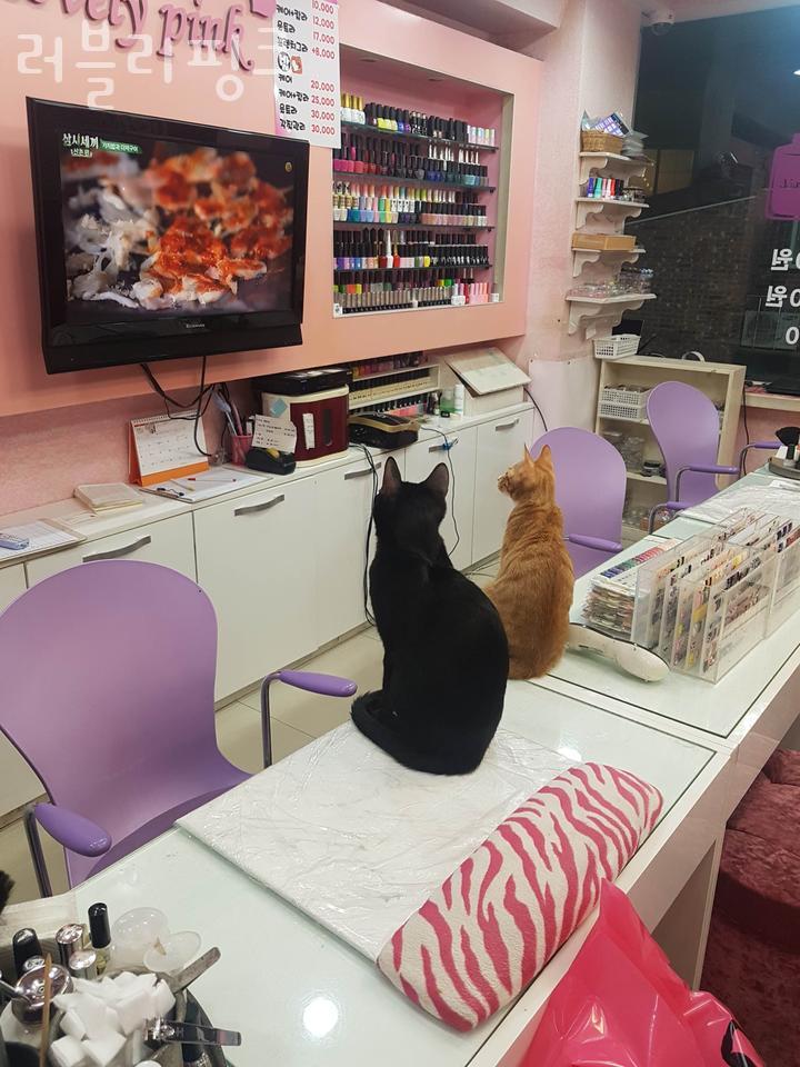 러블리네일샵 이미지