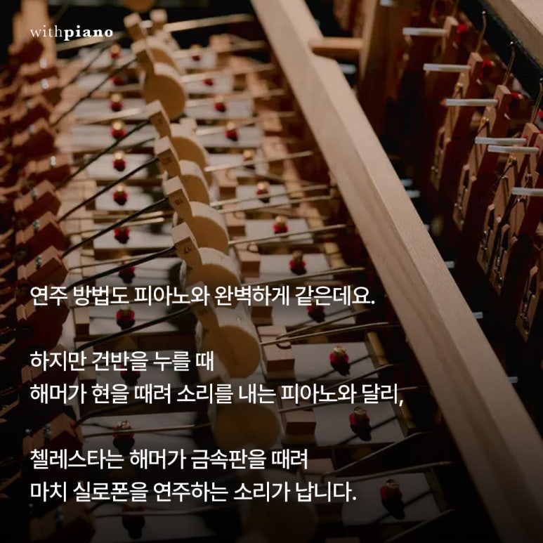 양재위드피아노학원 이미지