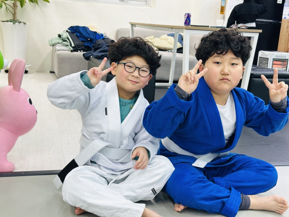 퍼팩트주짓수 이미지