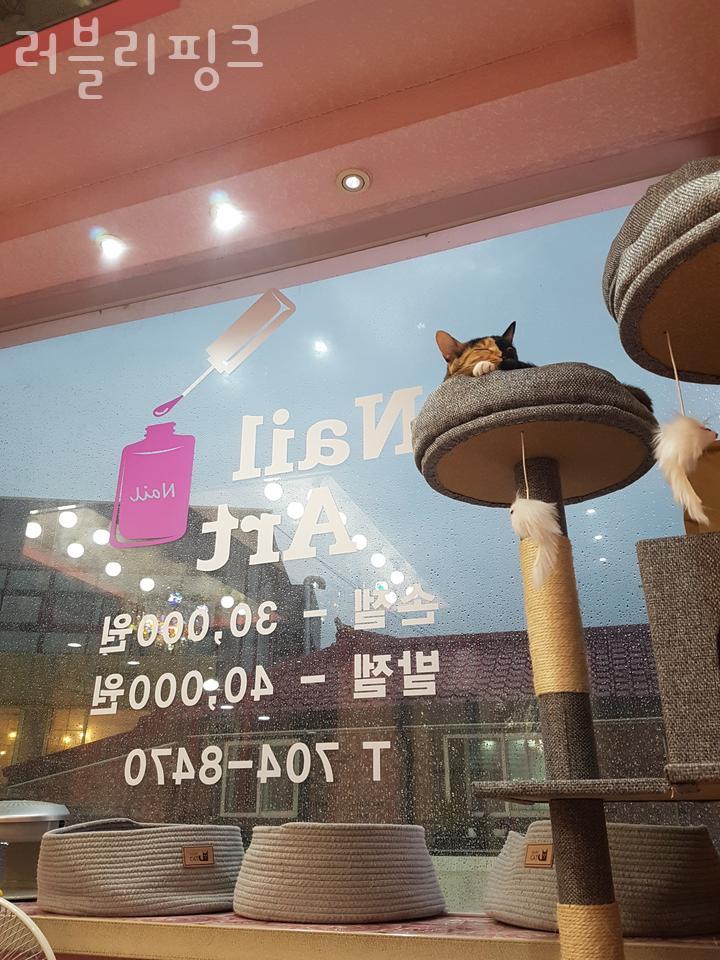 러블리네일샵 이미지