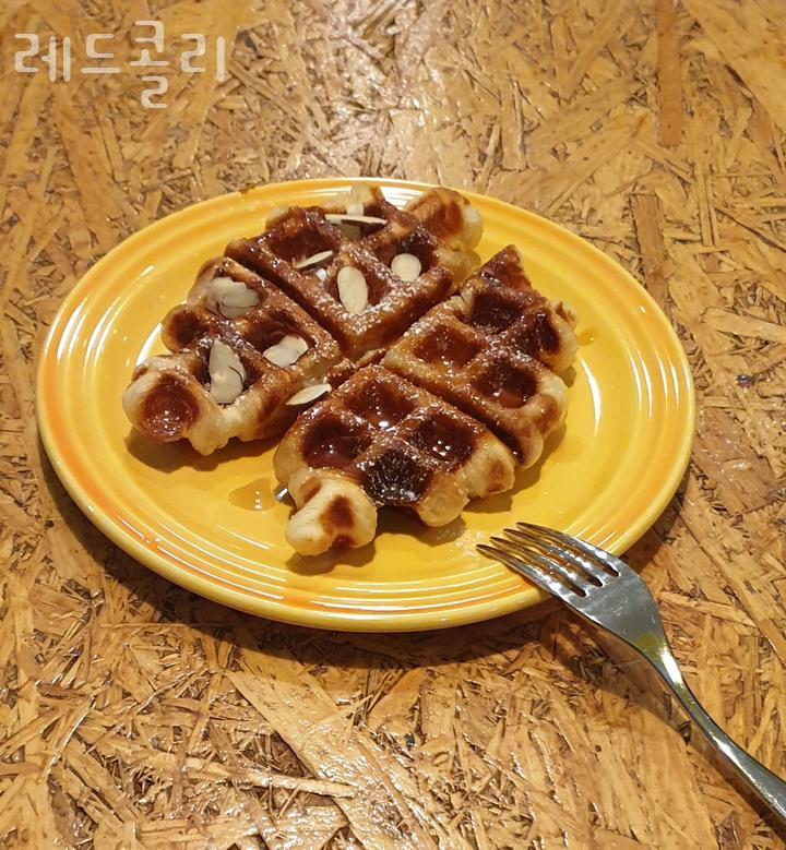 레드콜리 사진 3