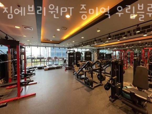 짐나인 이미지