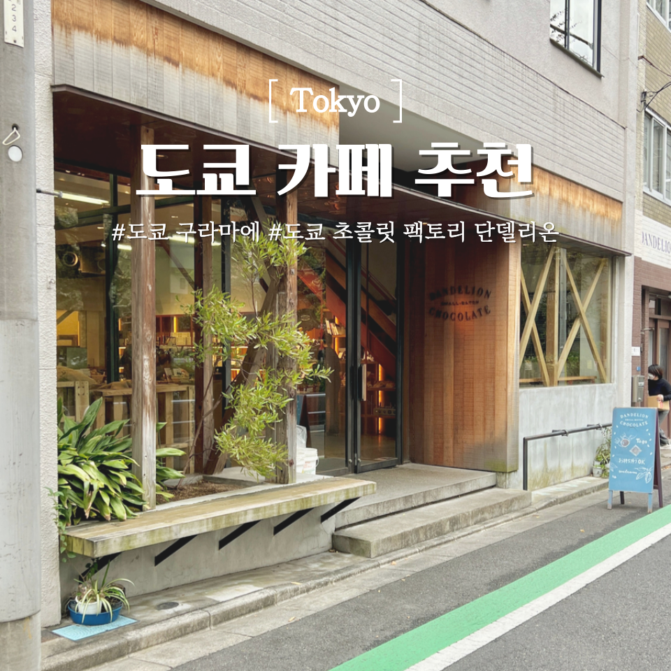 단델리온(Dandelion) 이미지