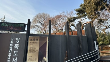 디셈브레 이미지
