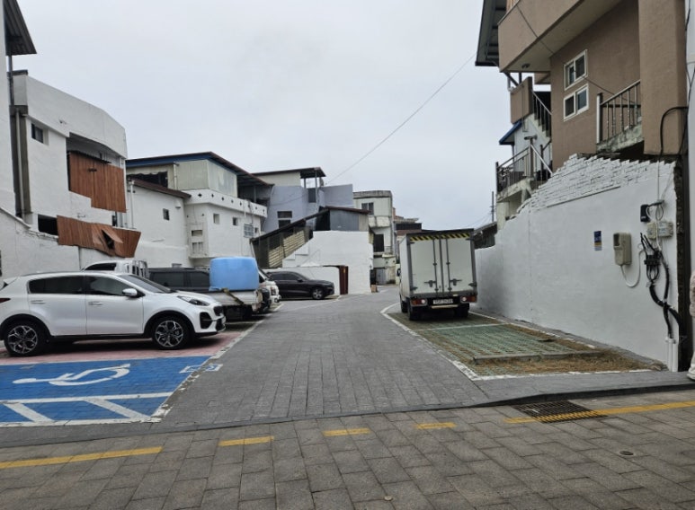 일화오엽 이미지