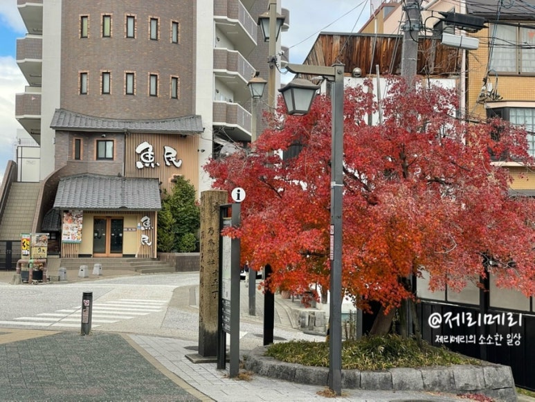(주)짱이야마을 이미지