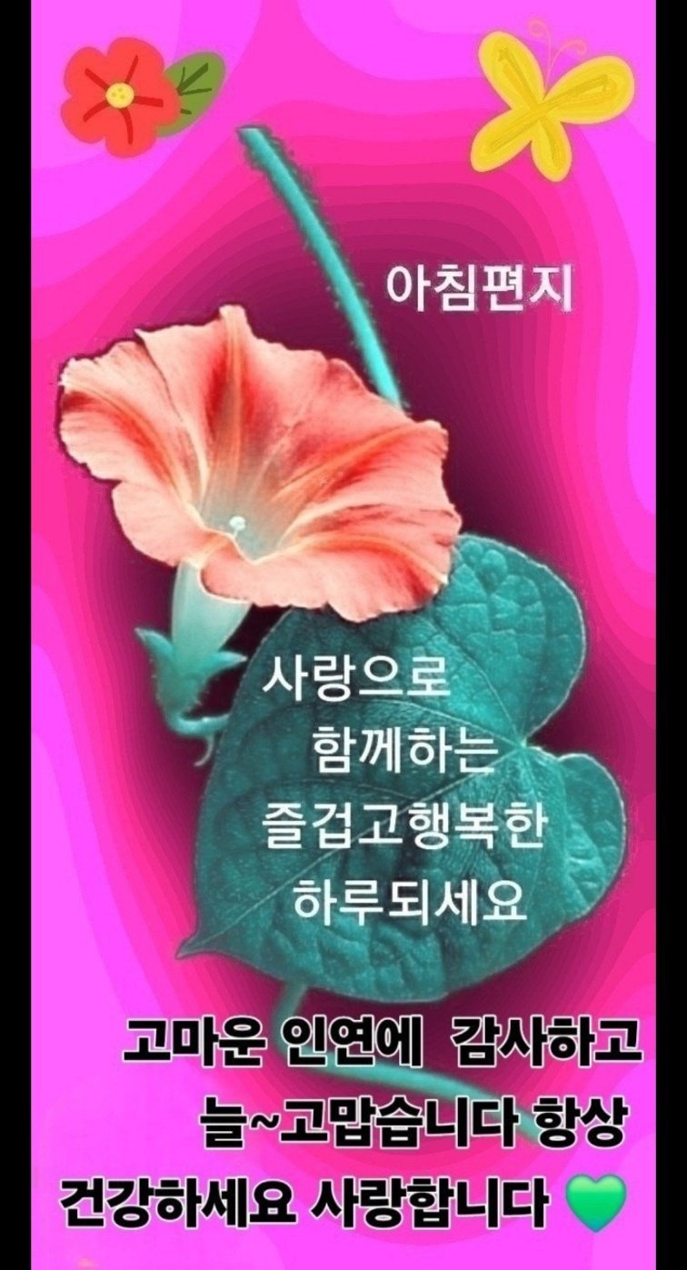 수지상사 이미지