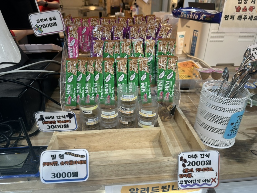 댕댕냥냥부천점 이미지