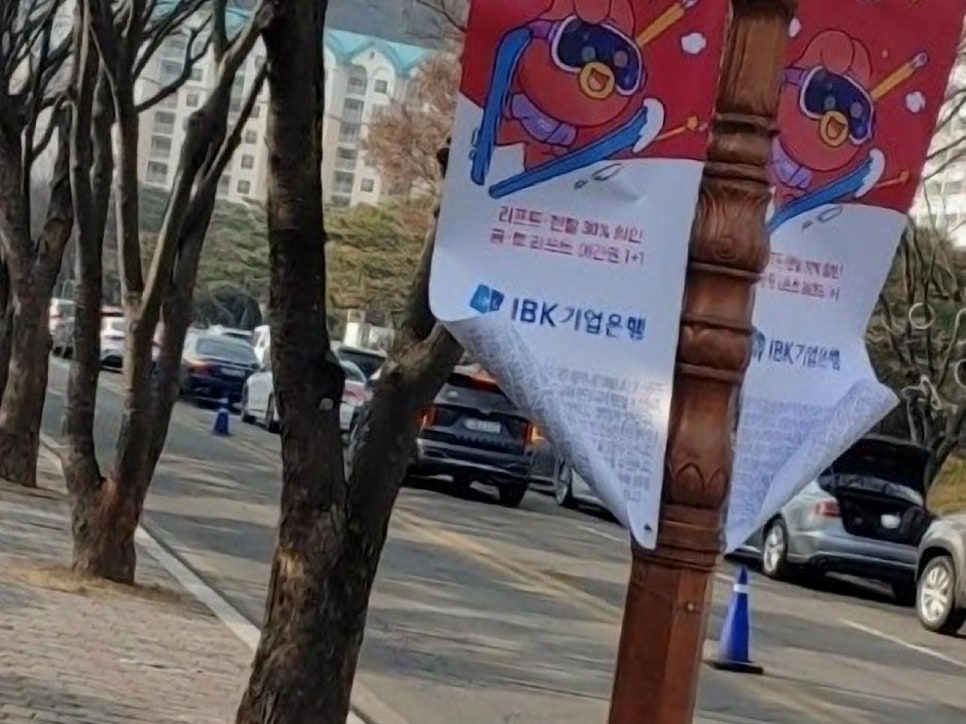비발디파크렌탈샵클럽나인 이미지