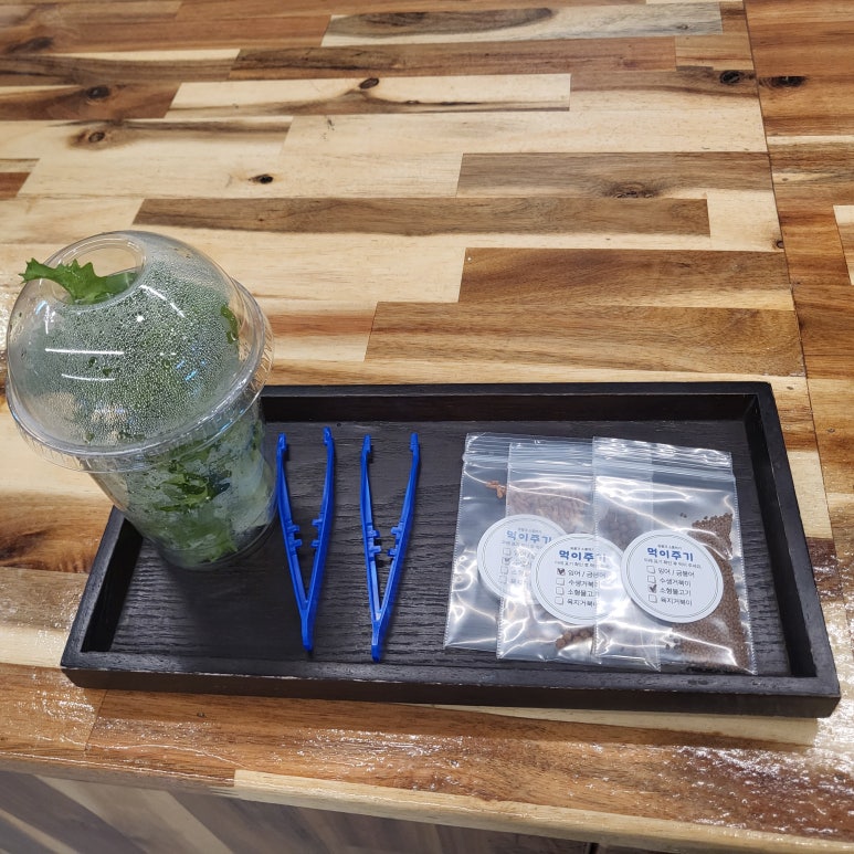 아이카닥터 이미지
